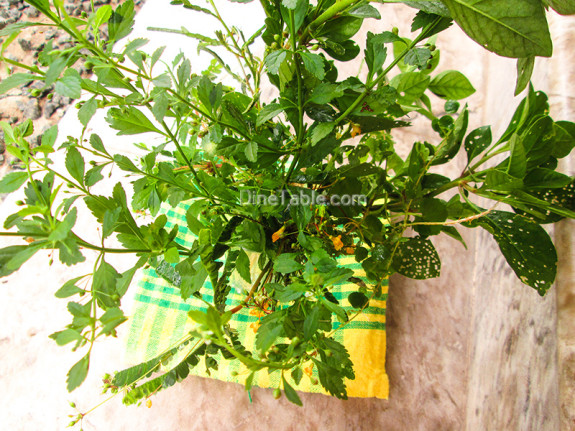Karkkidaka Kanji Recipe - കര്‍ക്കിടക ഔഷധക്കഞ്ഞി - Medicinal plants 