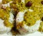 Kozhikodan Cherupayar Curry Recipe - Moong Dal Recipe - Breakfast Recipe