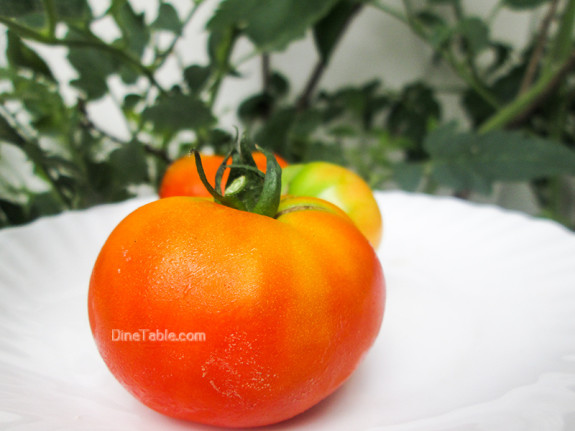 Kerala Style Tomato Pachadi Recipe - തക്കാളി പച്ചടി - Healthy Recipe