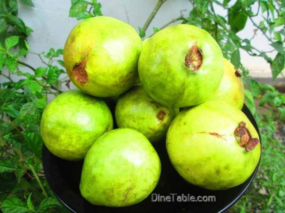 Guava-Fruit