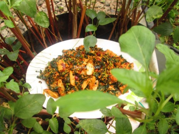 Chakkakuru Cheera Thoran Recipe / Spicy Dish
