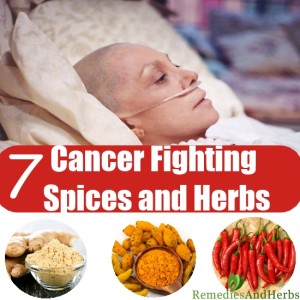 7 Cancer-Fighting Culinary Spices and Herbs