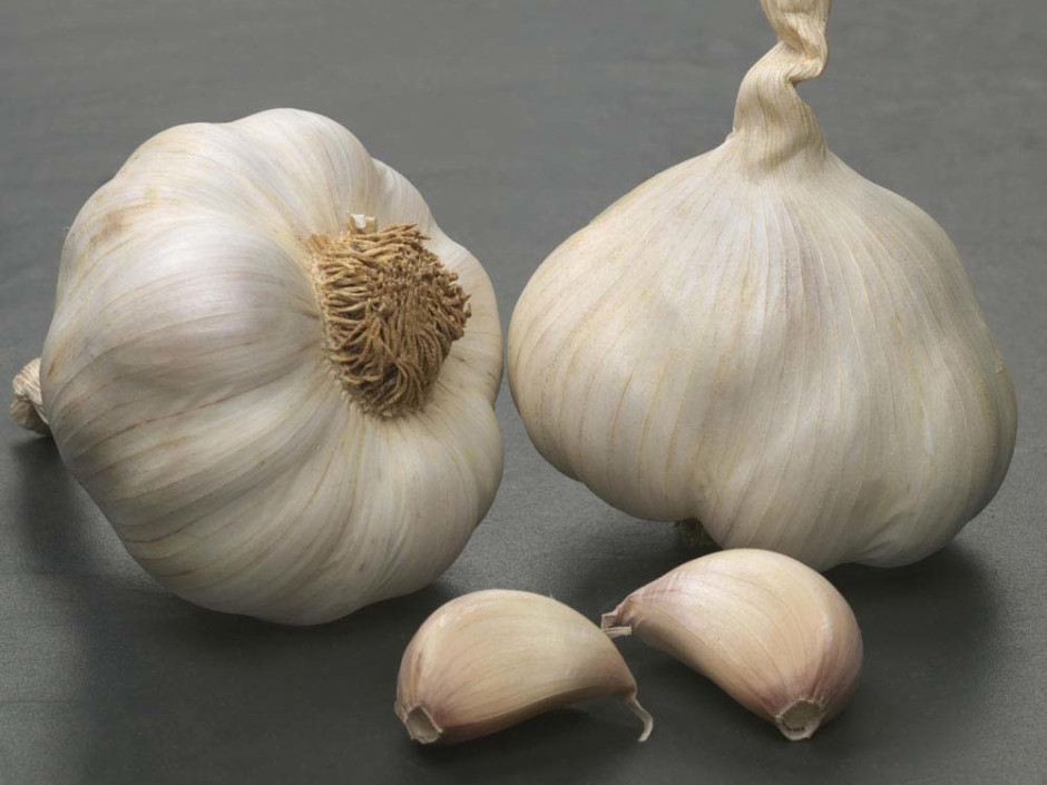 15 health benefits of garlic