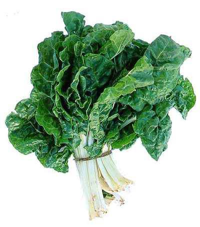 Silverbeet - Top Sources of Iron