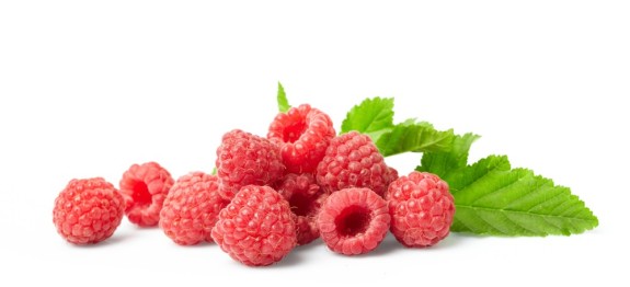 Health Benefits of Raspberry, Health Benefits Of Fruits, Health News