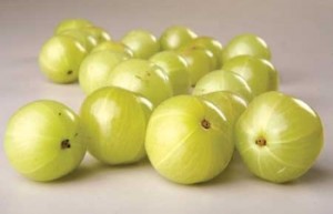 Health Benefits of Indian Gooseberry or Amla ( നെല്ലിക്ക )