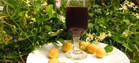 Gooseberry wine recipe | Christmas special wine recipe