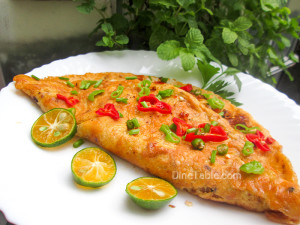 chicken-omelette-recipe