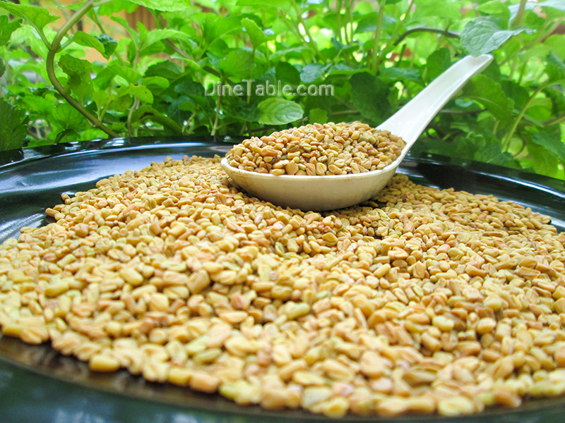 Fenugreek Excellent Herbal Remedy Health Benefits