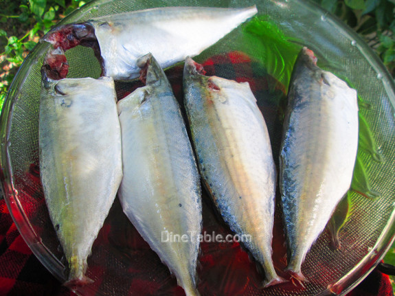 Goan Mackerel Fish Curry / Curry Recipe