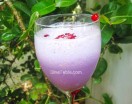 Pomegranate Milkshake – Refreshing & Easy Milkshake Recipe