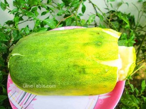 Pottu-vellari-juice-recipe