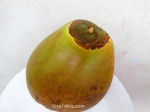 tender-coconut-milkshake-recipe