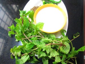 Hara Masala Raita Recipe / Homemade Dish