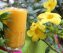 Mango Papaya Smoothie Recipe / Nutritious Smoothie
